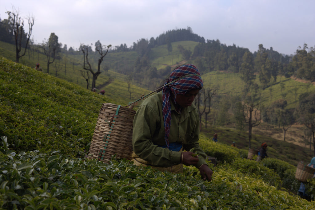 All About Fair Trade