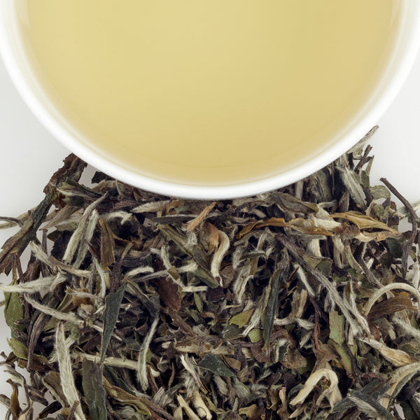 Mutan White, Loose Tea 1.5oz